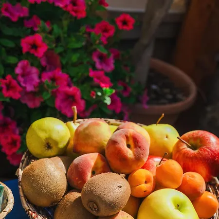 Bed and Breakfast L'albero Dei Limoni Portoscuso