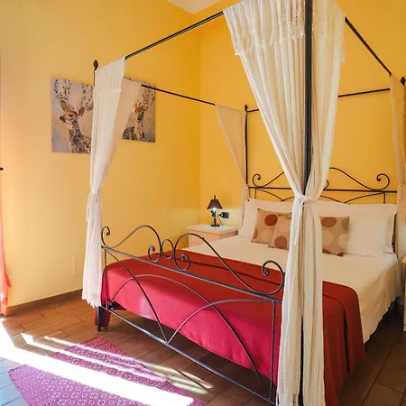 L'albero Dei Limoni 4*