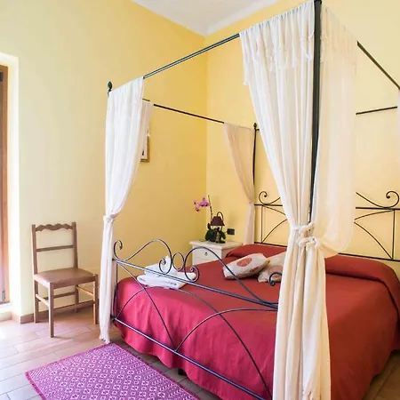 L'albero Dei Limoni 4*