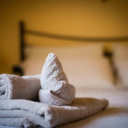 L'albero Dei Limoni 4*