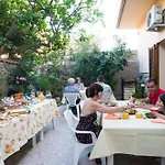 L'albero Dei Limoni