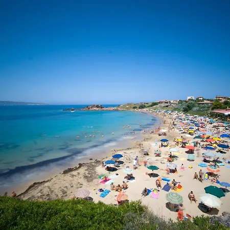 L'albero Dei Limoni Portoscuso