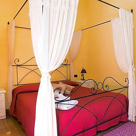 L'albero Dei Limoni